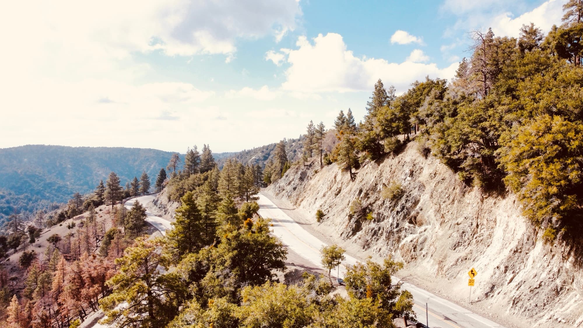 A mountain pass road between pines photographed from the air